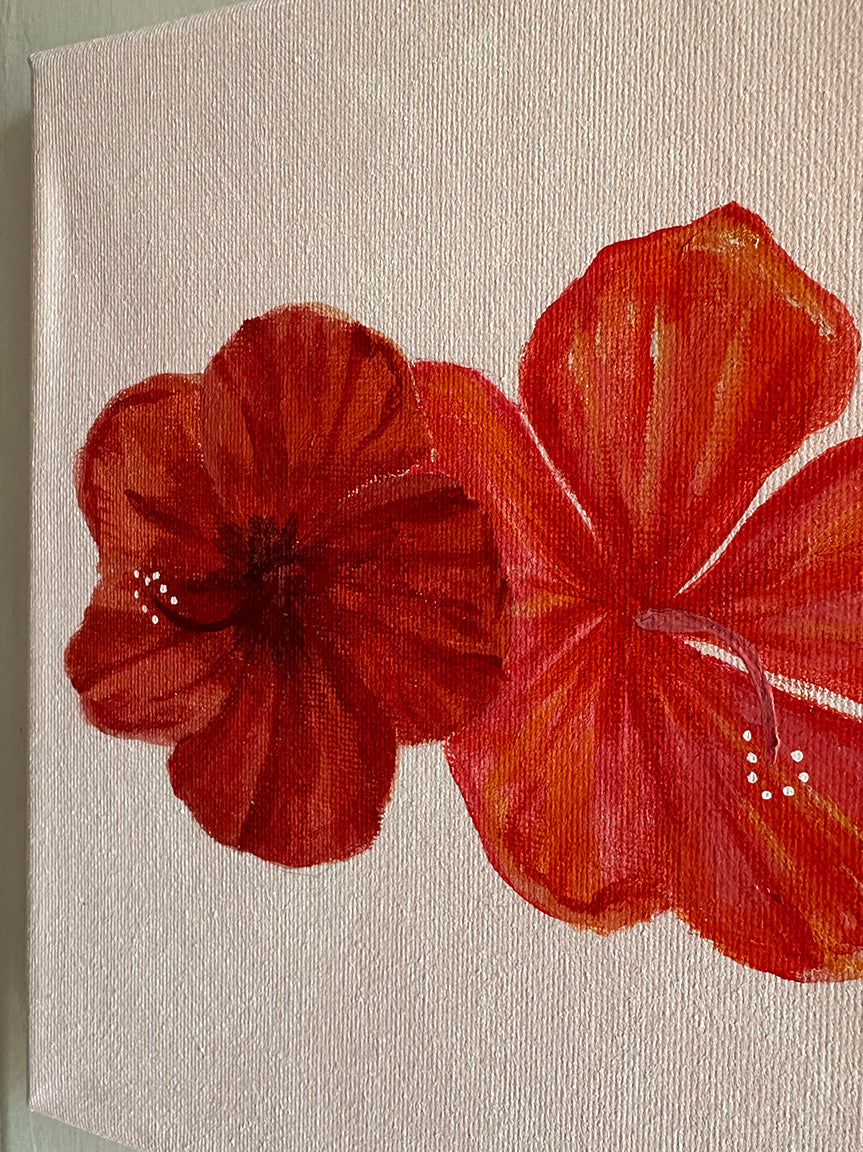 HIBISCUS BLUSH - ORIGINAL